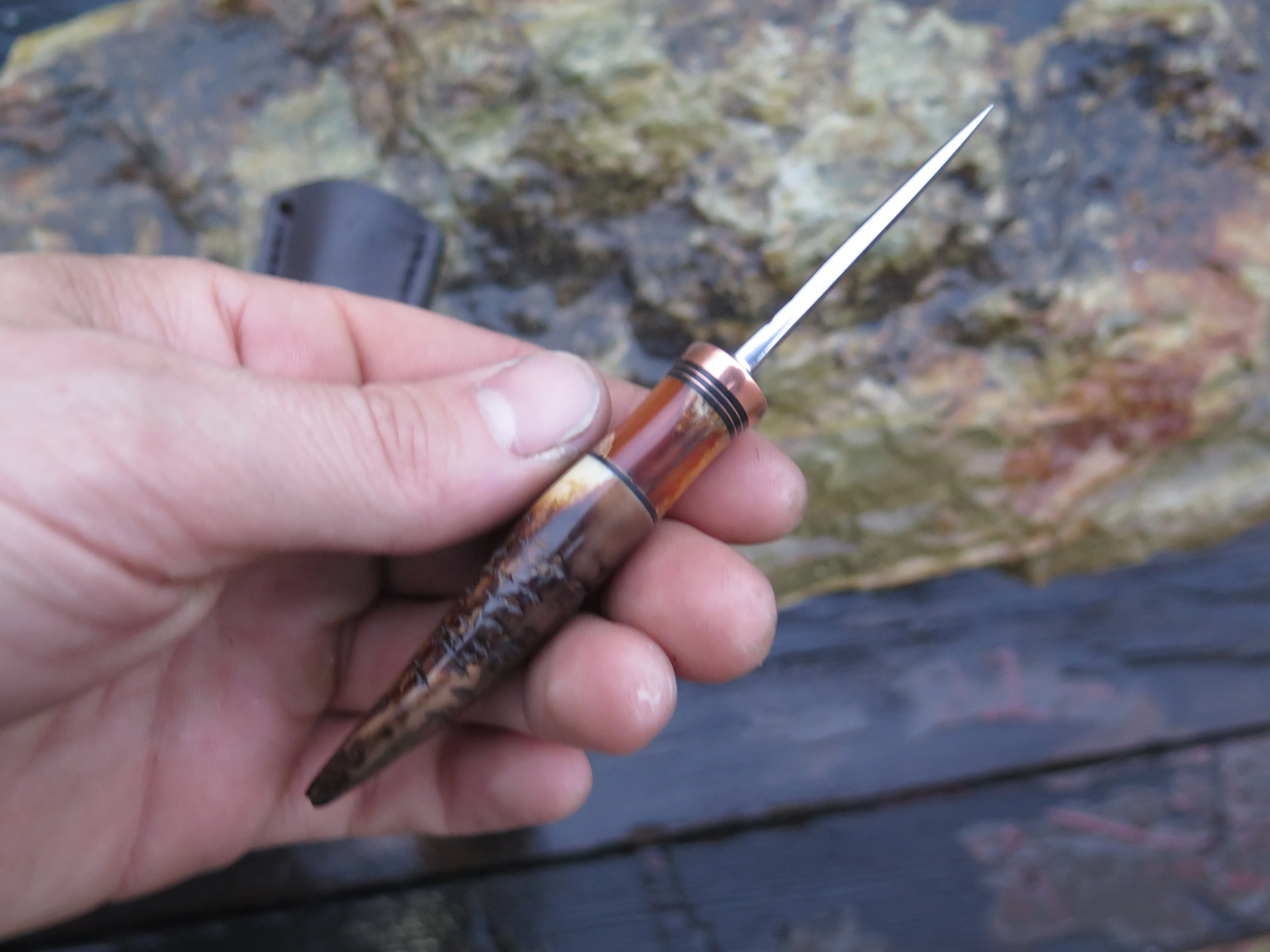 Artifact & Fossil Walrus 5th Pocket