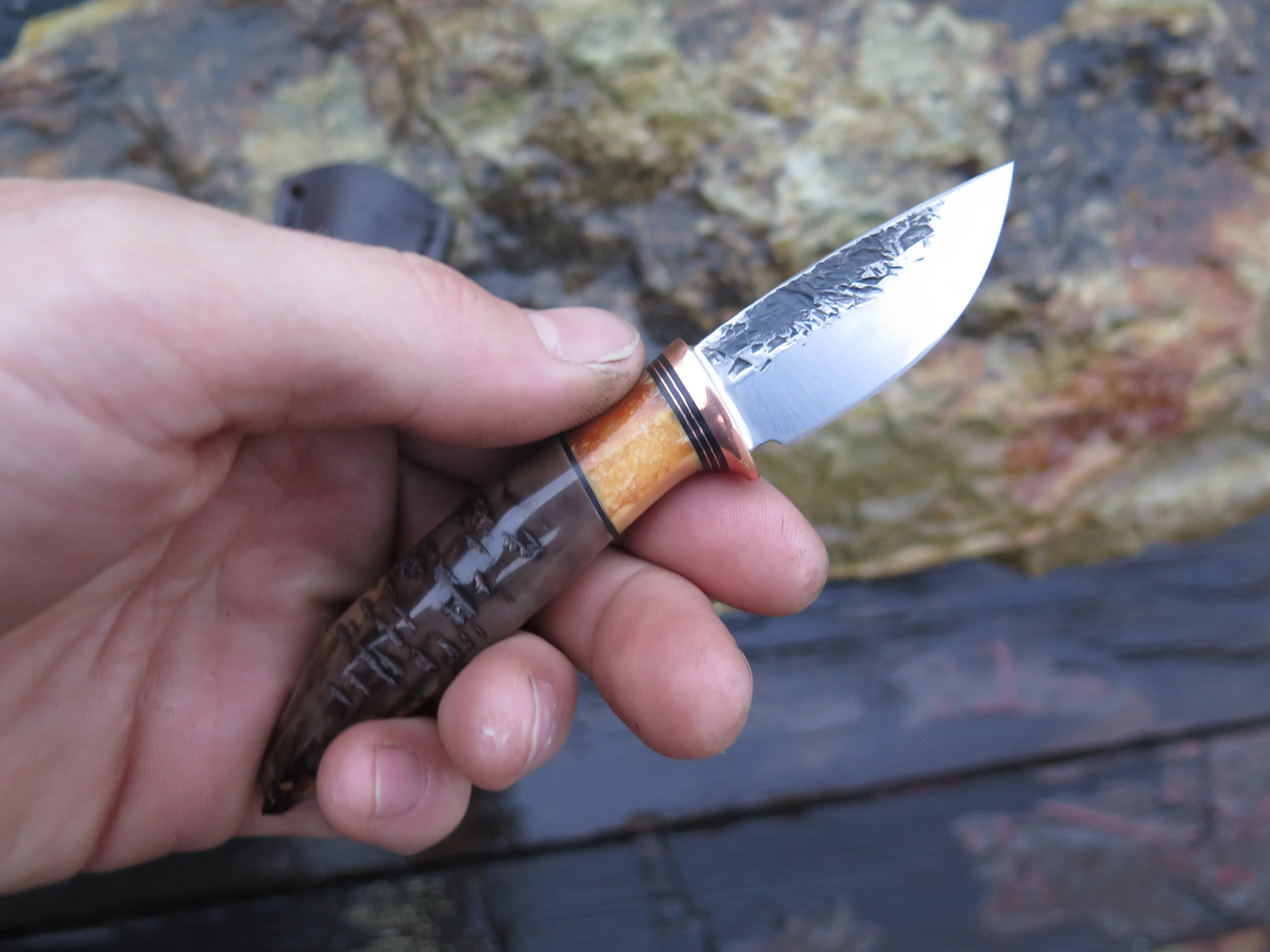 Artifact & Fossil Walrus 5th Pocket
