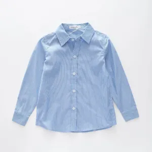Blue Pinstripe Shirt
