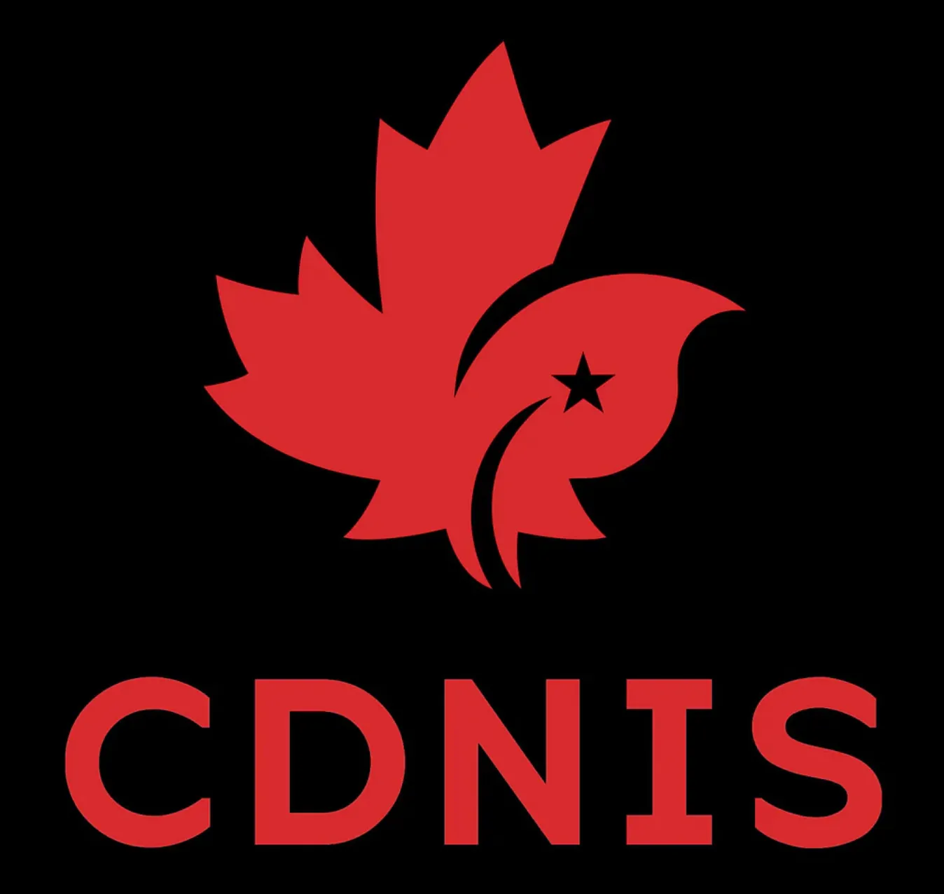 CDNIS Black Sweater Vest