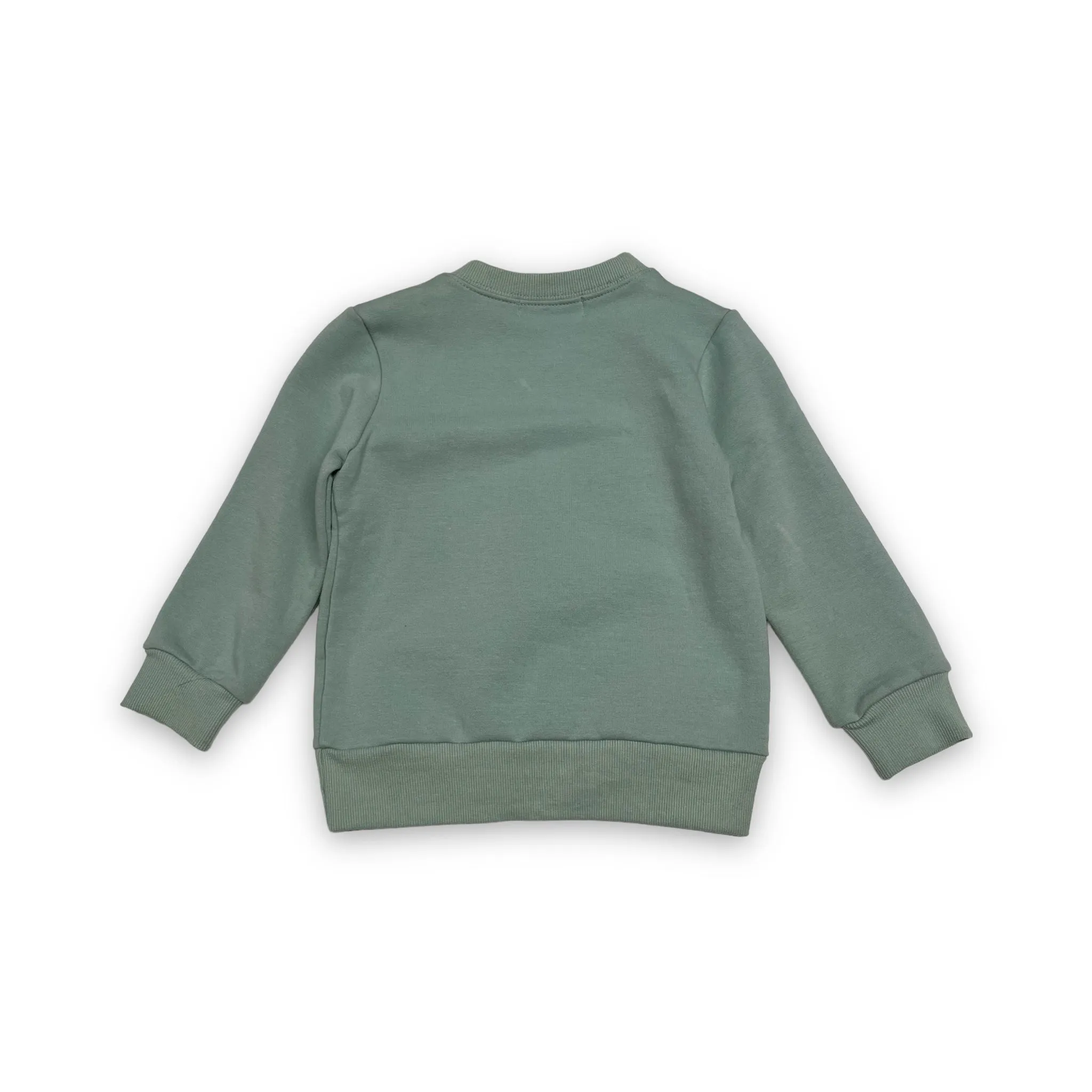L/S Crew Neck Bunny Glasses Sweatshirt - Sage
